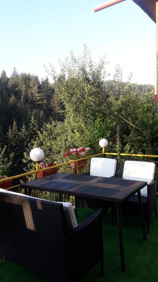 Guest House Stoletnika Jagodina Exteriér fotografie