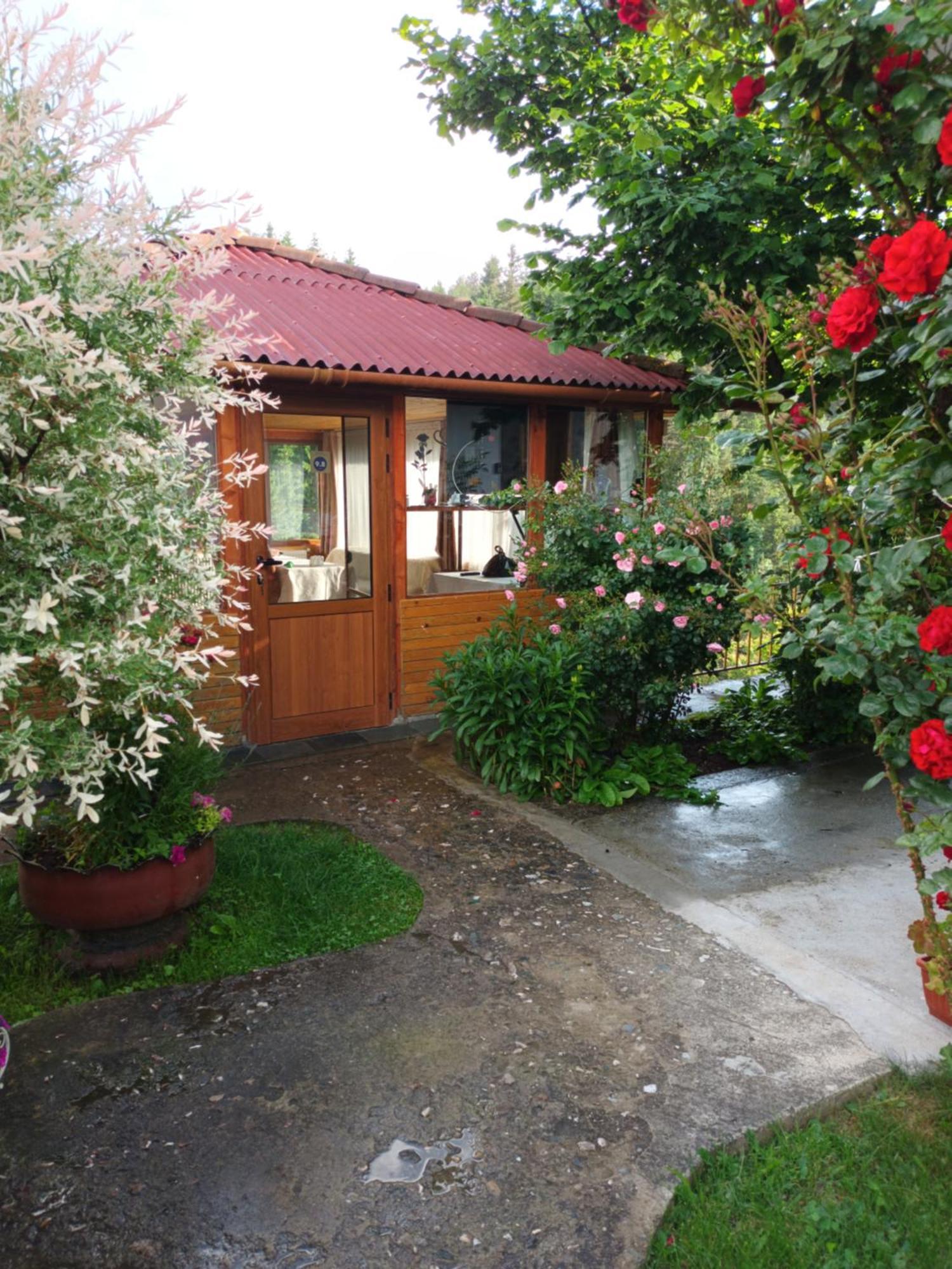 Guest House Stoletnika Jagodina Exteriér fotografie