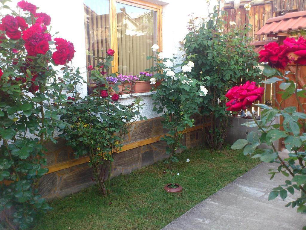 Guest House Stoletnika Jagodina Exteriér fotografie