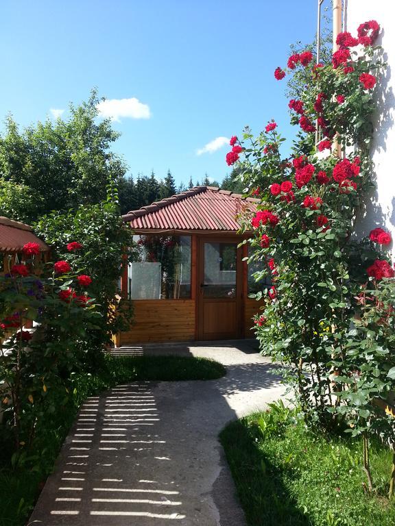 Guest House Stoletnika Jagodina Exteriér fotografie